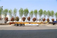 Skeleton Transport Semi-trailer